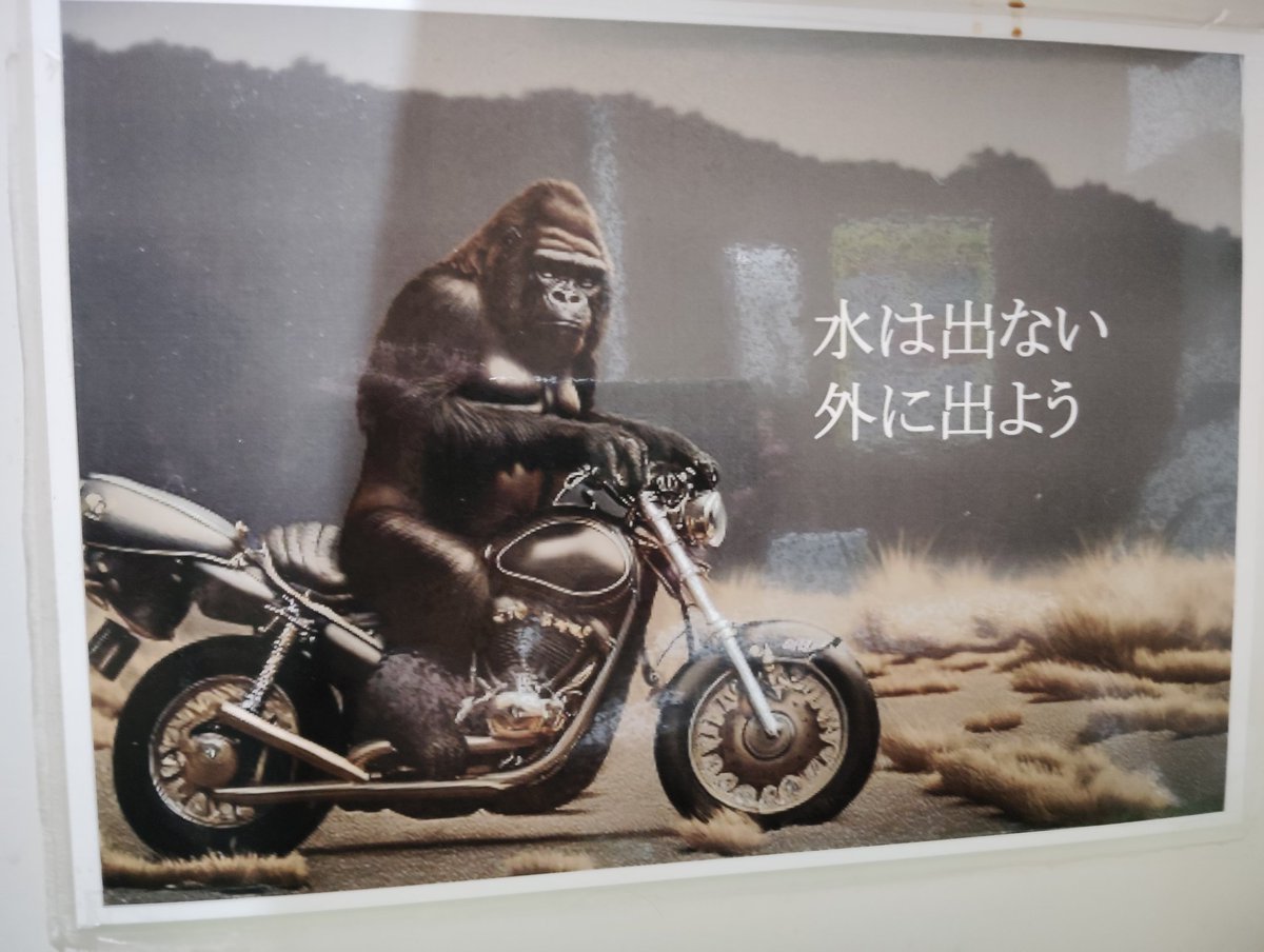 rerakukiro's tweet photo. @shrike0902 こんばんは🌉

市内駐車場でまさかの自前で突貫工事で作った訳ではありません🚘️（笑）

確かにゴリラを目にすると撮影してしまいます🦍

心身共に健康優先にいきますね💫 https://t.co/FQZ2nZZxnj