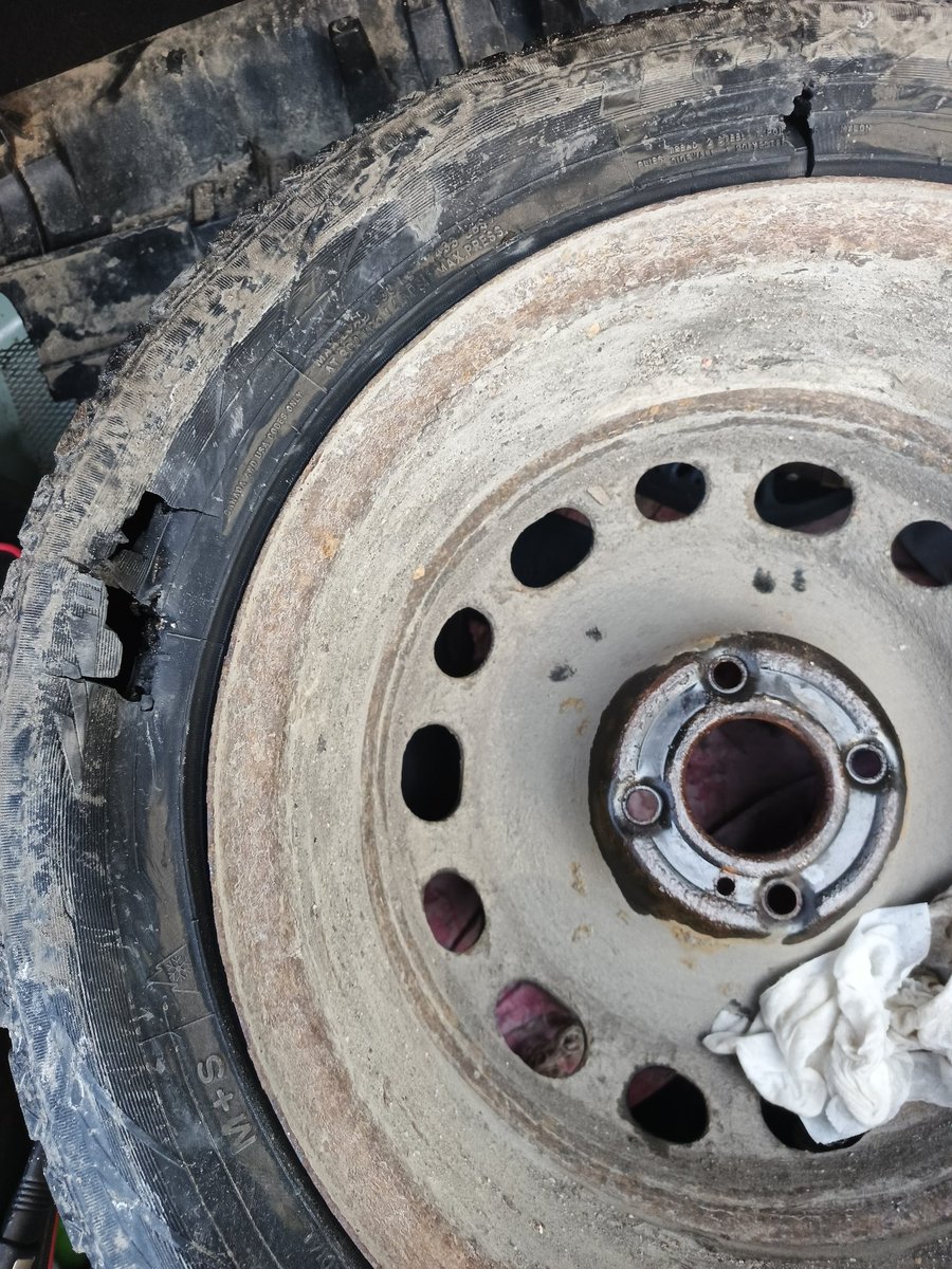 хот тамалес tweet media