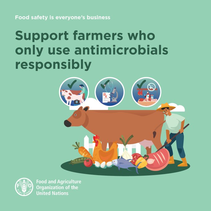 FAO Livestock tweet media