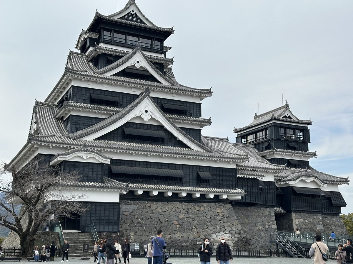 どデカい箱 tweet media