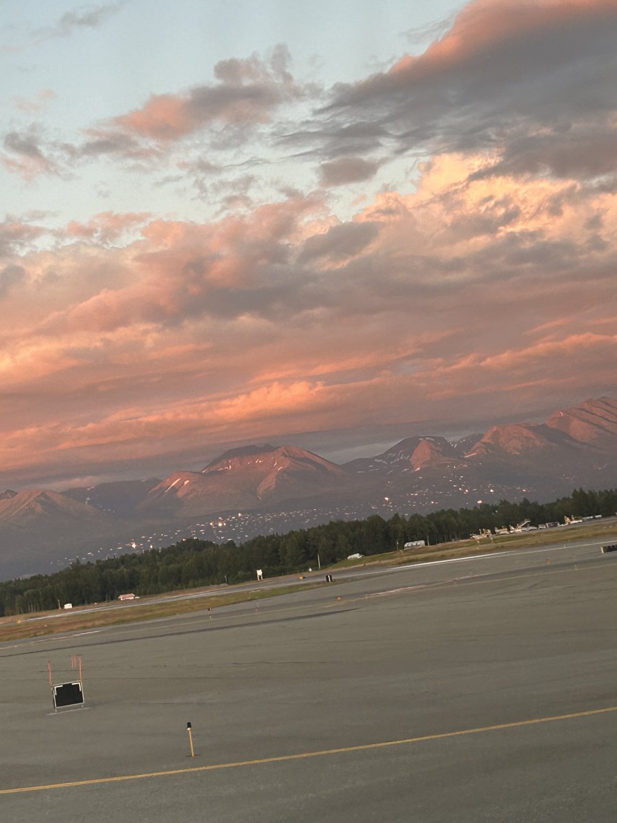 katelutter's tweet photo. What will it take to convince Theo, the gangster cat, to come to Alaska? Beautiful views? The promise of snacks? Animals? Hot Blogging with Chuck https://t.co/j2HfvtB785 https://t.co/tIRMuVvJin