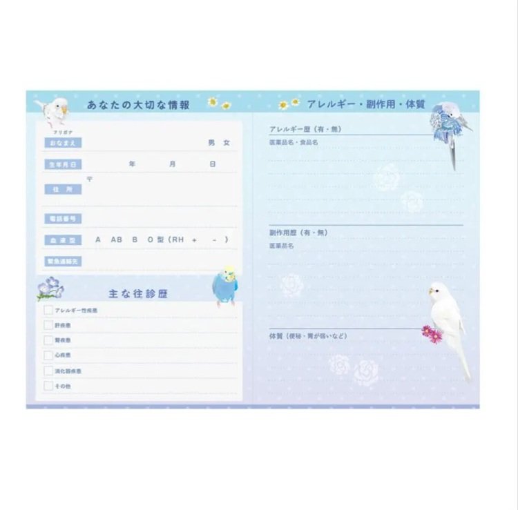infocminc's tweet photo. ✨新作✨
とりアートさん( @vivid_birds )の大人気絵柄｢ゆめいろいんこ｣がお薬手帳になりました！！

全ページフルカラーで、とてもきれいなお薬手帳です😌💕

商品は、下記リンクからご確認ください♪
　↓
https://t.co/pjD875PsFp

#お薬手帳 #セキセイインコ #インコ #ゆめいろいんこ #ゆめいろ https://t.co/kEIsZ6p04l