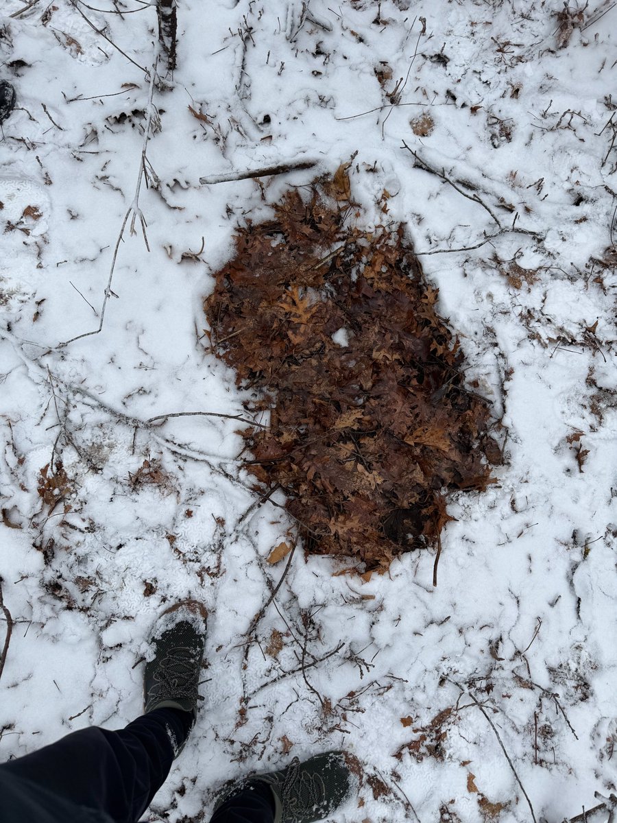 Daggerlad tweet media