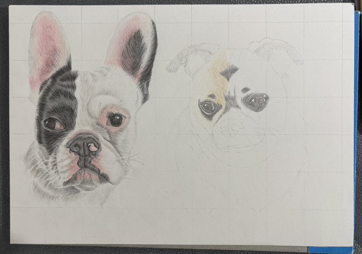 Claire May 😆 tweet media