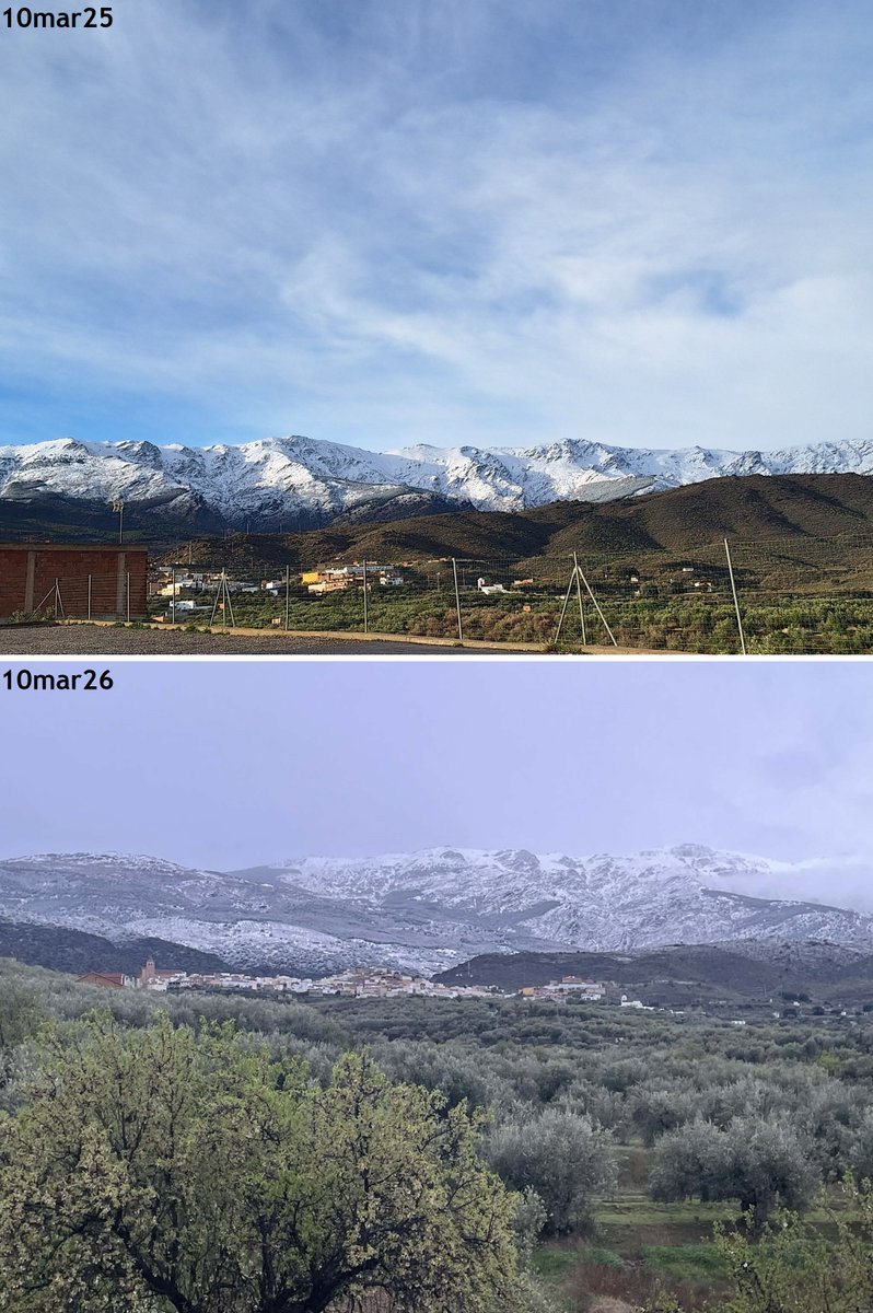 Vigorro... tweet media