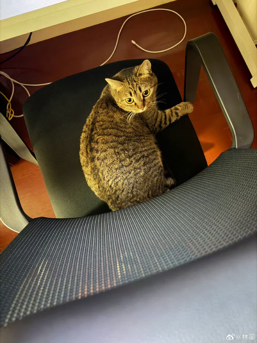 [260310]LinMo Weibo Update!💛

ช่วงเคอเทียโตขึ้นอีกปีแล้ว #Momentsของหลินโม่

-1-

🔗weibo.com/6108312042/527…

#หลินโม่ #林墨 #LINMO