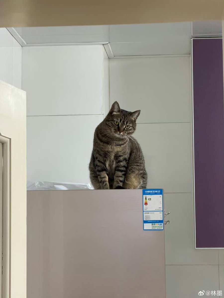 [260310]LinMo Weibo Update!💛

ช่วงเคอเทียโตขึ้นอีกปีแล้ว #Momentsของหลินโม่

-2-

🔗weibo.com/6108312042/527…

#หลินโม่ #林墨 #LINMO