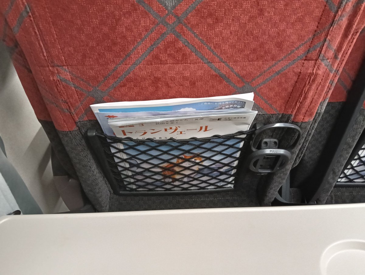 ちゃってぃ tweet media