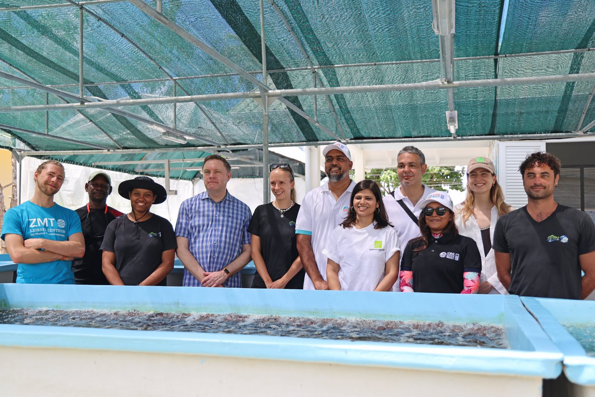 Nature Seychelles tweet media