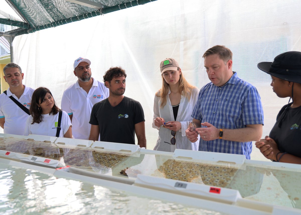 Nature Seychelles tweet media