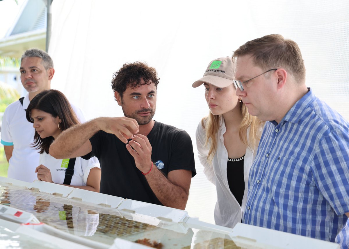 Nature Seychelles tweet media