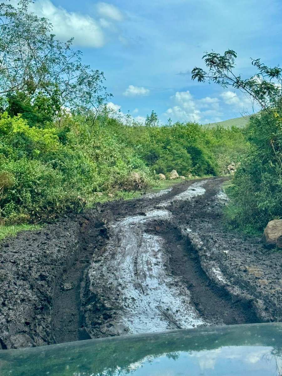 Current conditions in Kenya 😳

#WRC | #SafariRallyKenya 🇰🇪