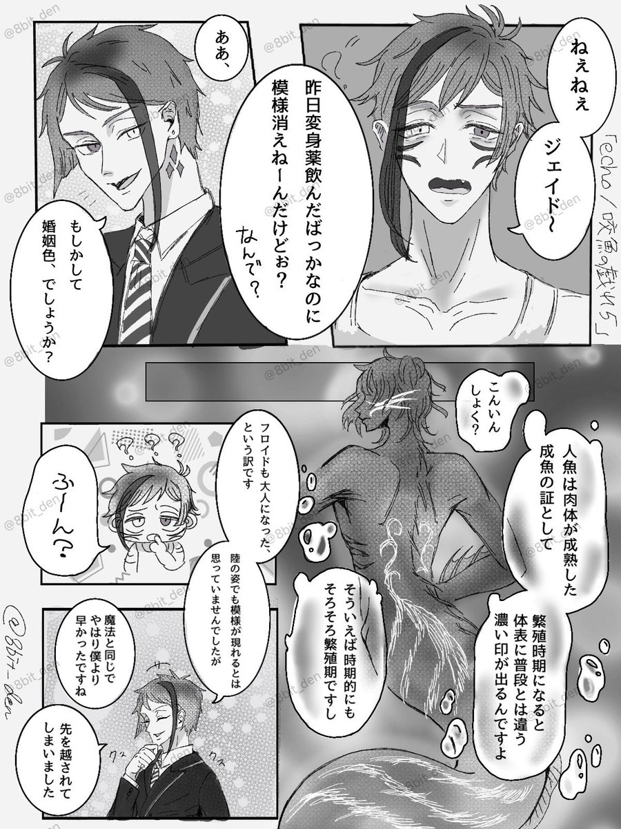 ハチ🎱🌙 tweet media