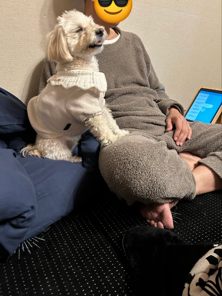 まめあず母 tweet media