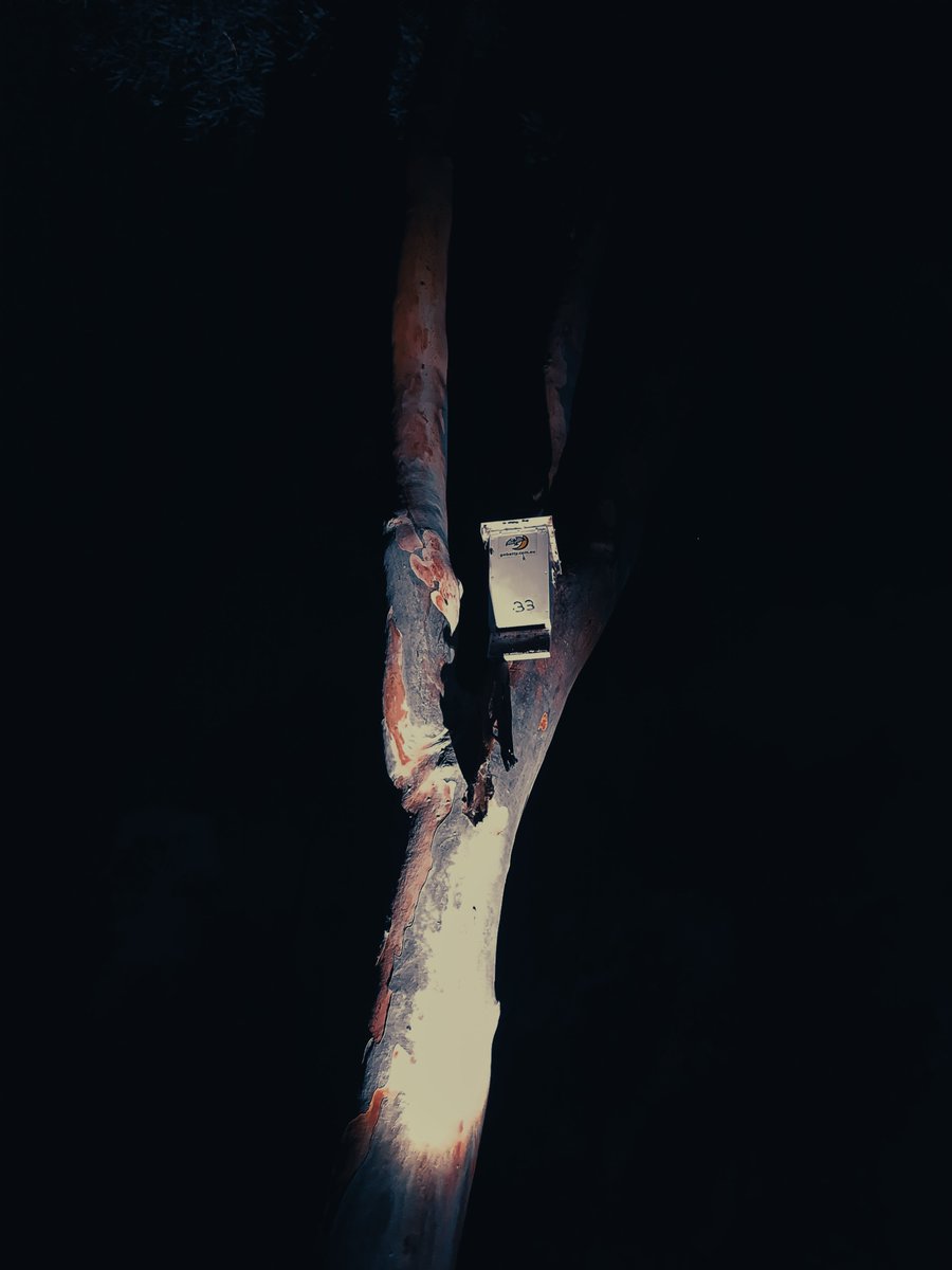 artoodeetoo's tweet photo. Night visions.
#Distilled26 https://t.co/xUmQxty4nK