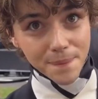 jack wolfe as cats tweet media