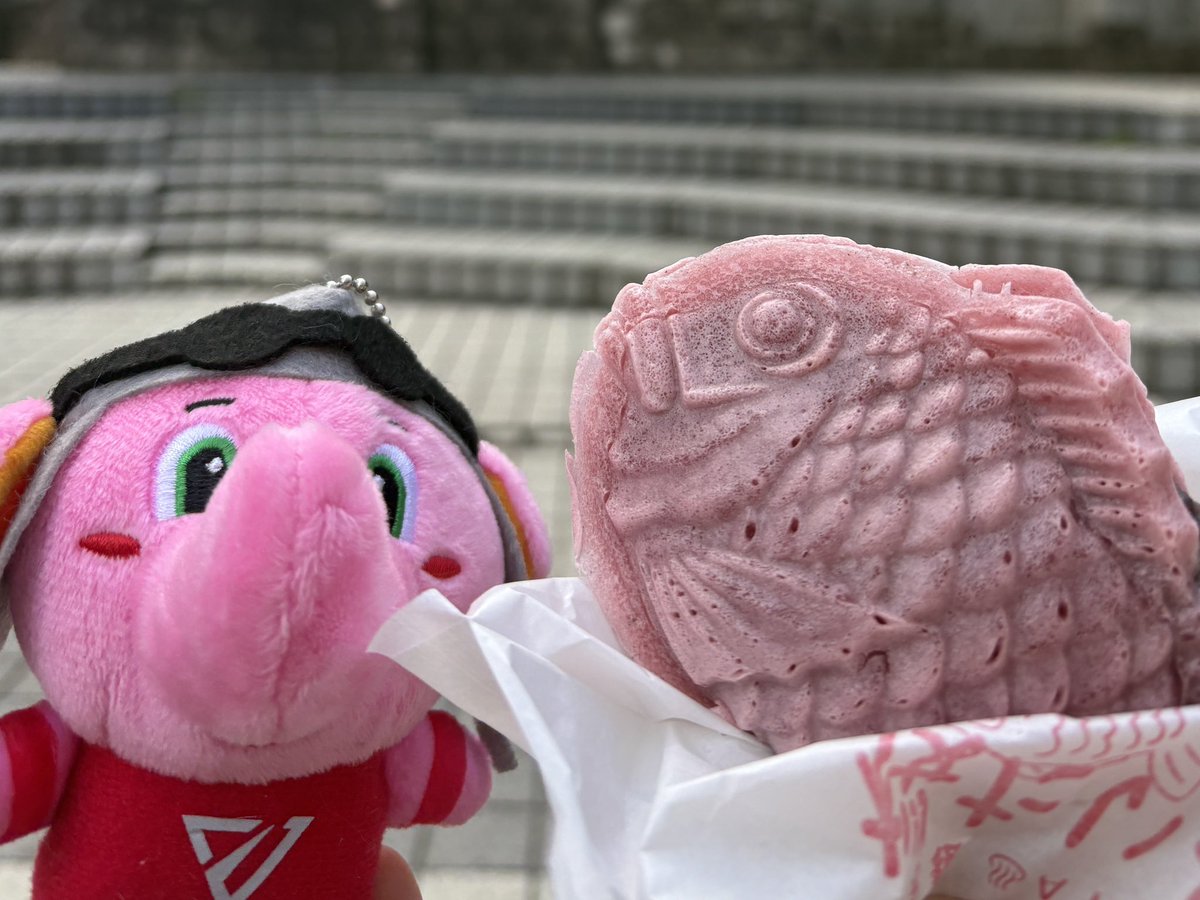 皆さんこんばんは！🌙

プライベートで静岡巡りをしてきました🚶‍♀️
ジャンボくんにぴったり！あまくてかわいいぴんくのスイーツも発見👀✨️
私も和菓子が大好物なのでとても幸せでした🍵🍡

明日はホームゲーム🔥
アウェイの勢いそのままに戦いましょう！
#千葉ジェッツ #starjets #ジャンボくん