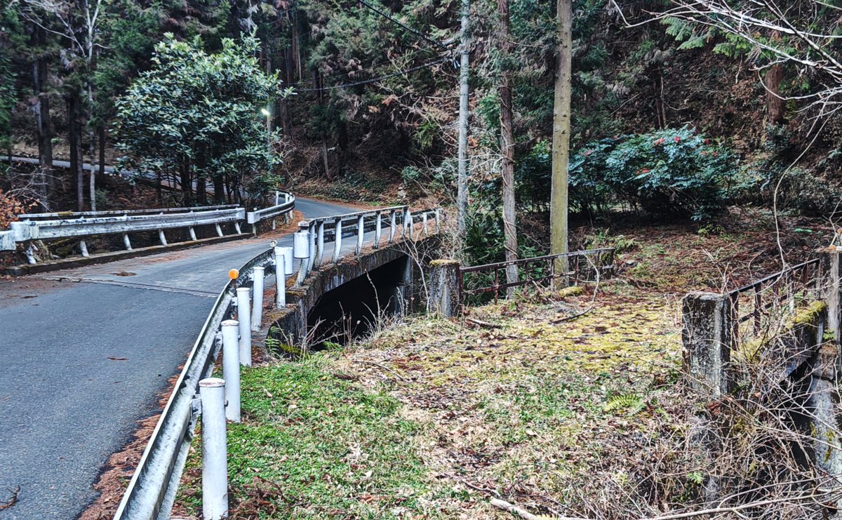 ⁴⁴鵺  tweet media