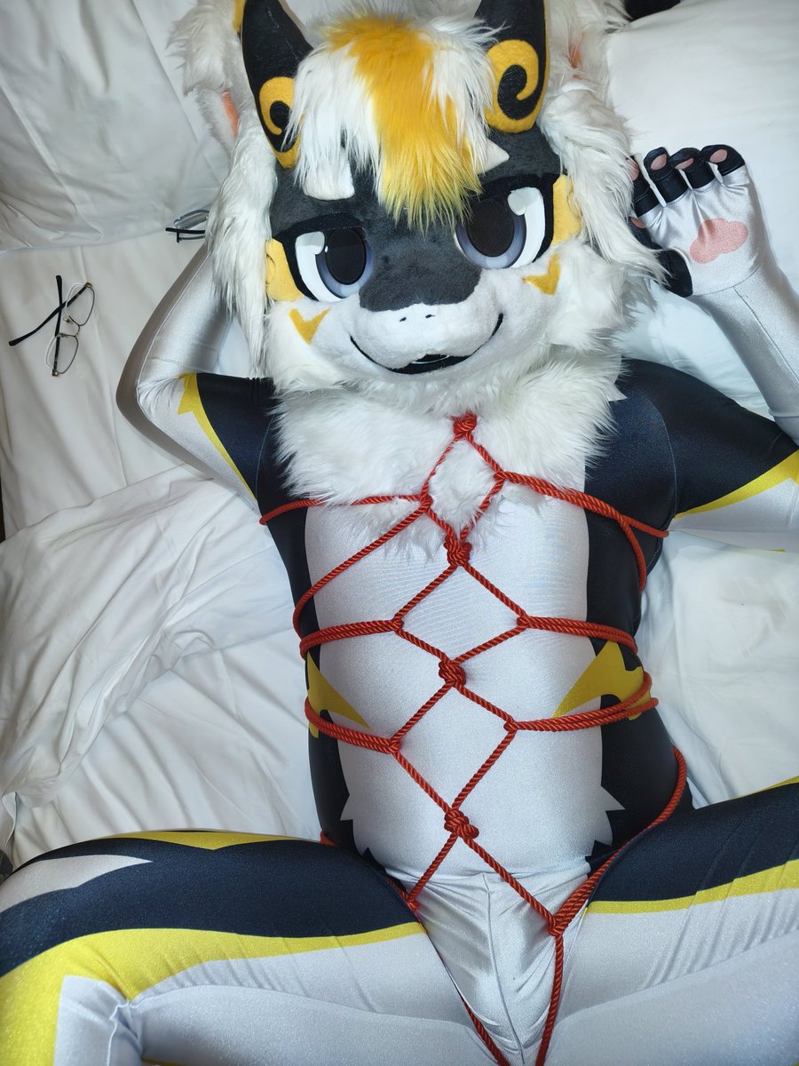 飞鸢Kite tweet media