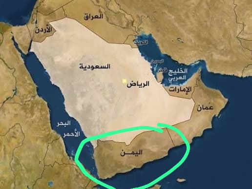 ريم 🌹 tweet media