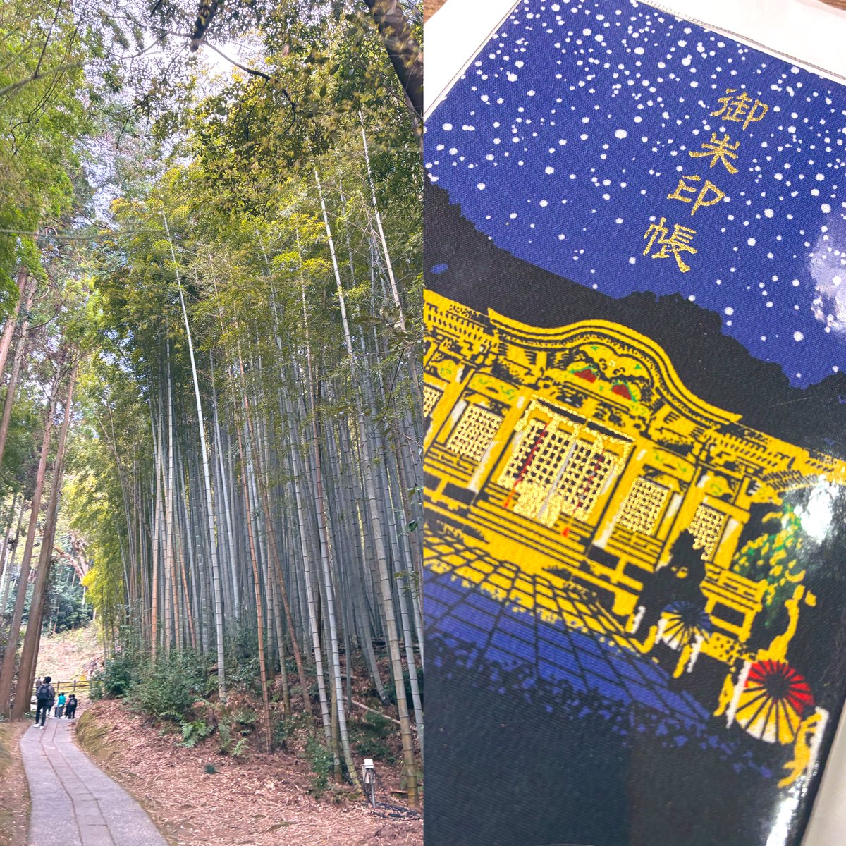 ブラック tweet media