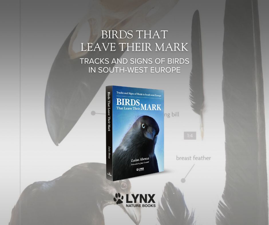lynxnaturebooks's tweet photo. Birds That Leave Their Mark: a fascinating guide to reading the hidden stories birds leave behind. 𓅰 𓅬 𓅭 𓅮 𓅯
#BirdTracking #BirdsThatLeaveTheirMark #Ornithology #Birdwatching #LynxNatureBooks #WildlifeBooks #NatureObservation https://t.co/xrjQIueJvL