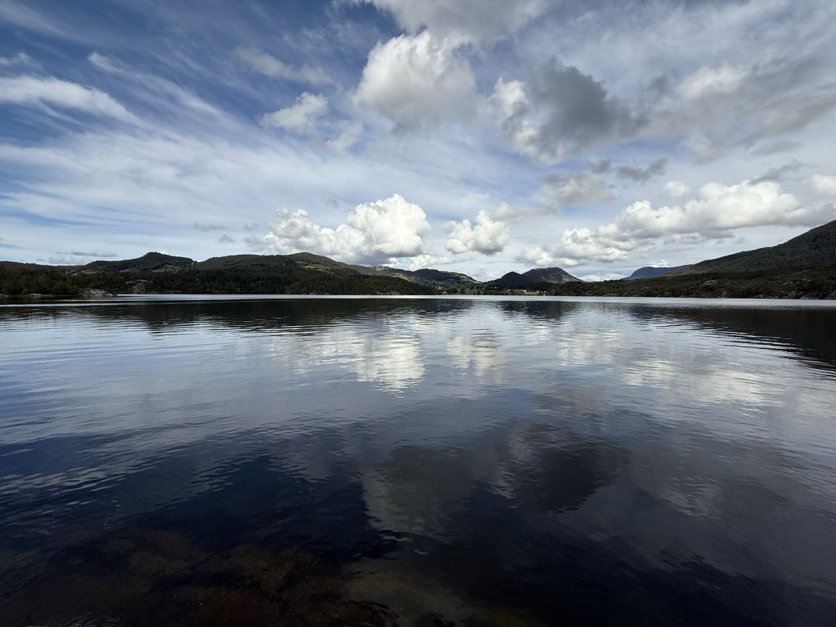 Martin Elstner tweet media