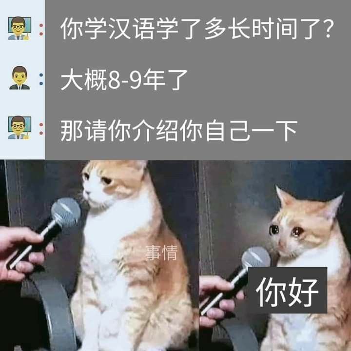 عع 王子 tweet media