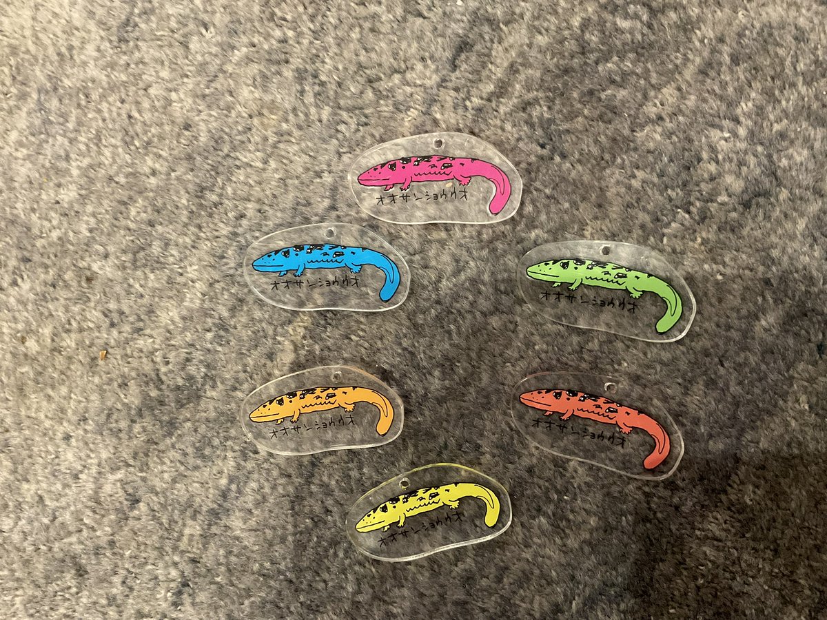 MZK/いけす🐟ありがと日本生態学会🐟 tweet media