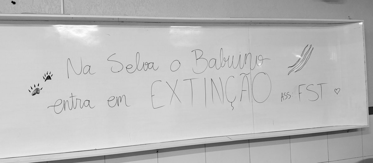 TERCEIRÉPICO | F.S.T 🐆💙 tweet media