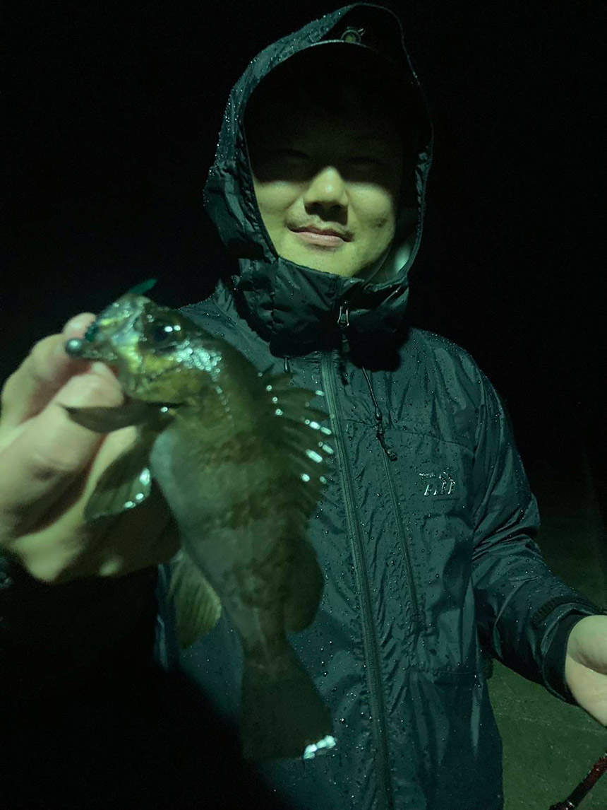 fishingwatanabe's tweet photo. 🎣釣果情報！

メバル釣り
⬇️詳細はこちら⬇️
https://t.co/d17al0MpJd

#メバル釣り #メバリング #しまなみ海道 https://t.co/0P9Jf8vwyE
