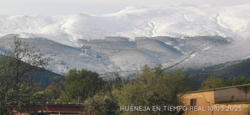 Vigorro... tweet media