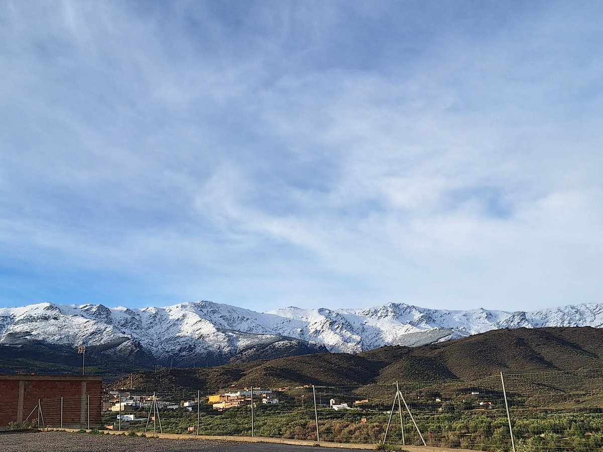 Vigorro... tweet media