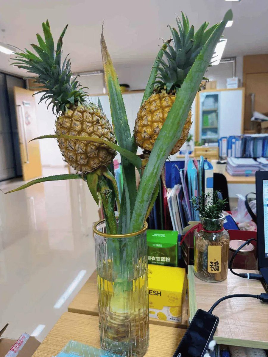 Dr. Potaslsunn tweet media