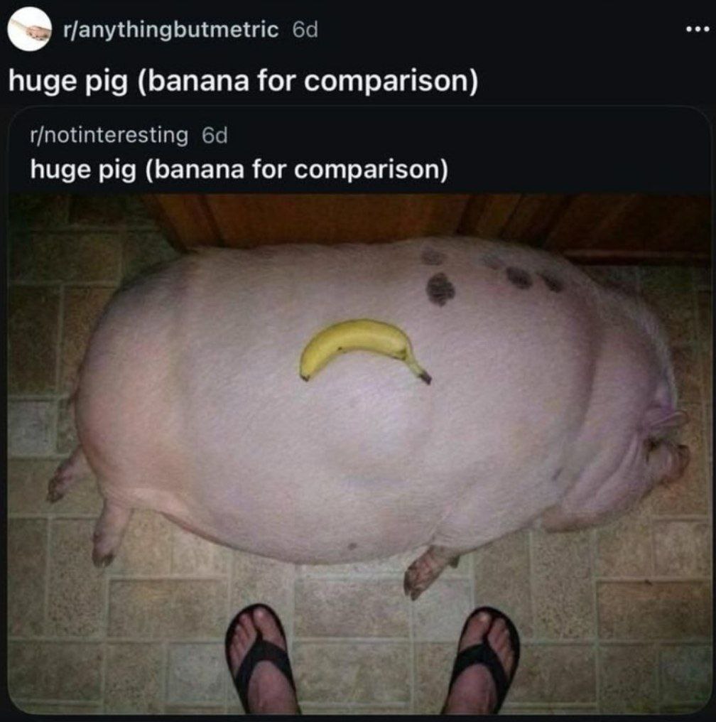 I,Hypocrite tweet media