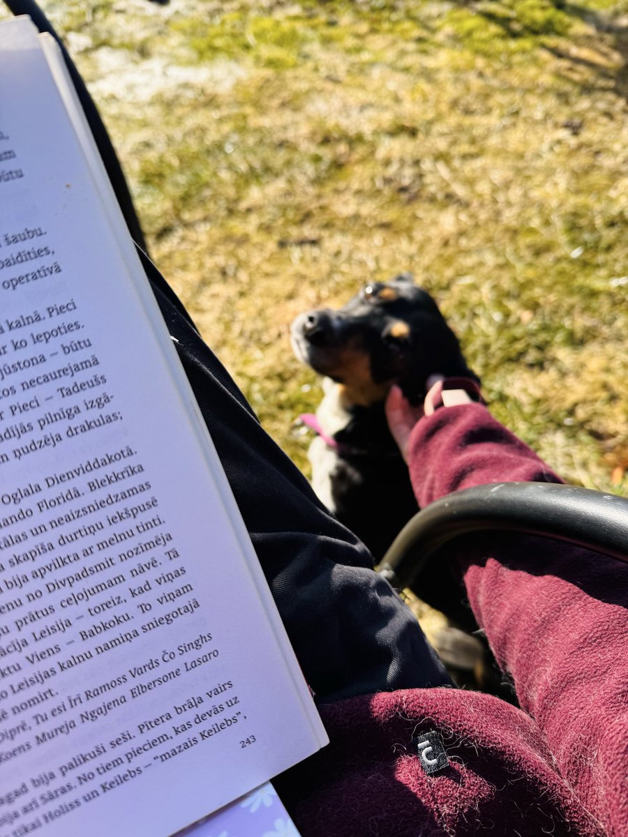 Jolanta Sondore tweet media