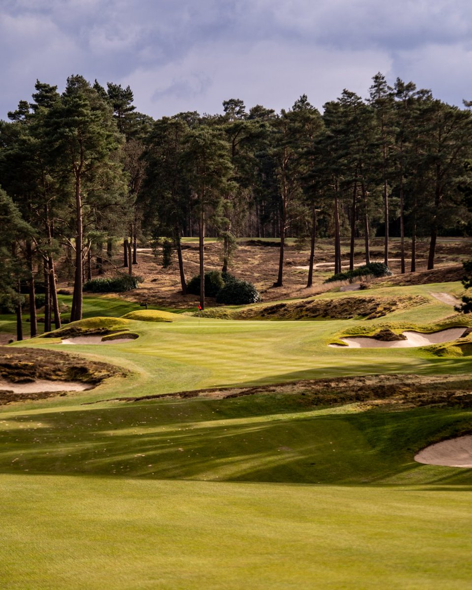 Cookie Jar Golf tweet media