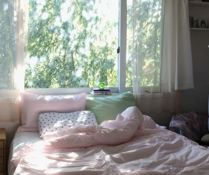 p˚୨୧⋆｡🐈˚ ⋆ tweet media