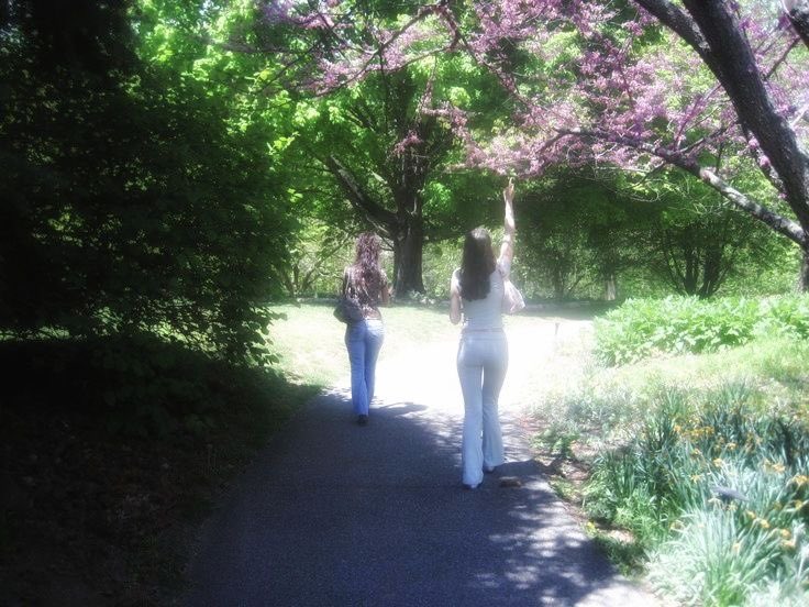 p˚୨୧⋆｡🐈˚ ⋆ tweet media