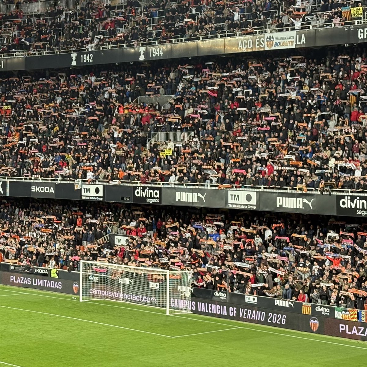 Chris Sharp tweet media