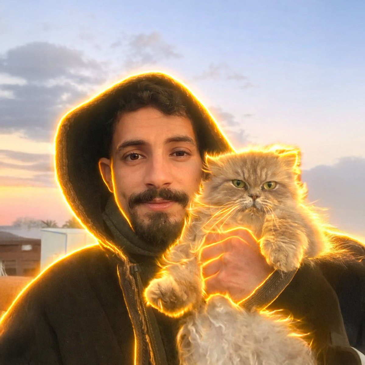 dΞnim (build/acc) tweet media