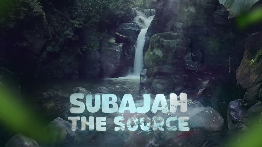 Reggae Tastemaker tweet media