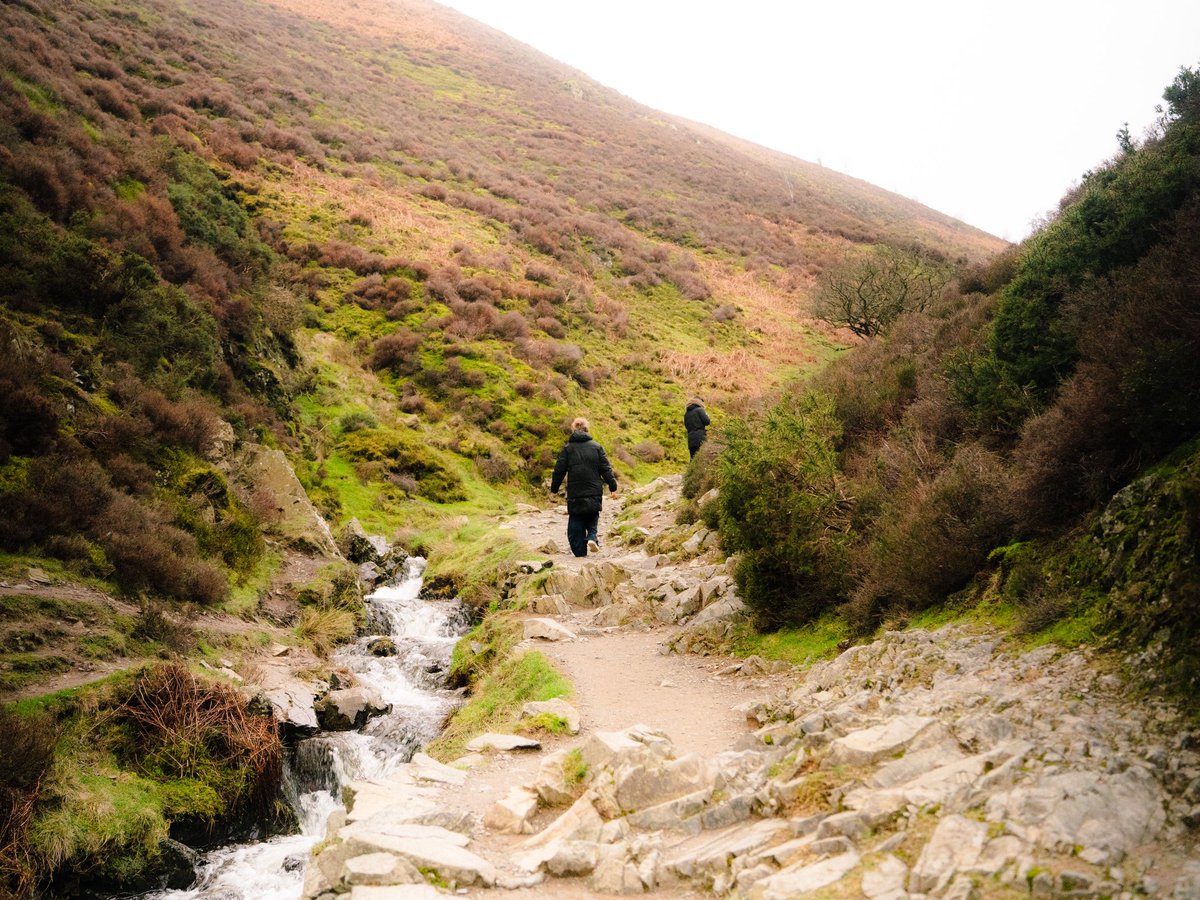 s🗡🎞️ tweet media