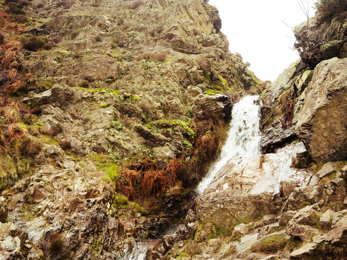 s🗡🎞️ tweet media