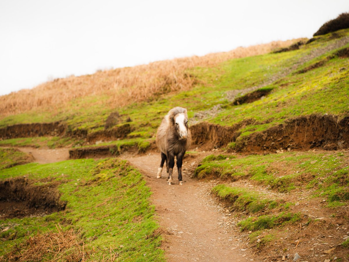 s🗡🎞️ tweet media