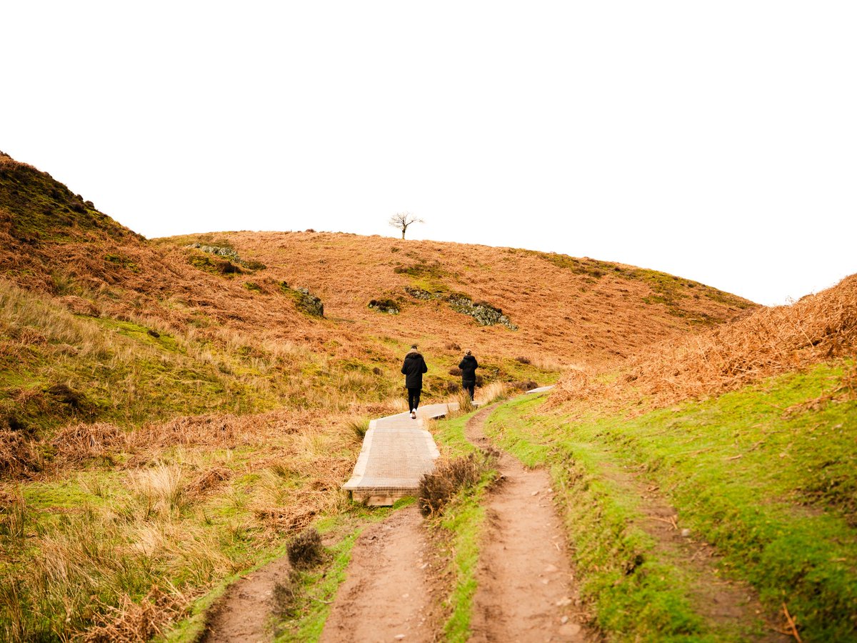 s🗡🎞️ tweet media