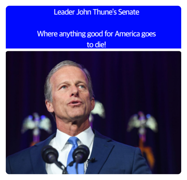 SweetPeaBell326's tweet photo. Thune is the most un-American Leader who opposes all things Trump or MAGA.

He spits in the eye of American citizens while sucking up to the Never-Trump faction.

He holds up Trump’s nominees thinking MAGA will die.

We are going nowhere. We’ll be on his case from here to the day he is voted out of office.