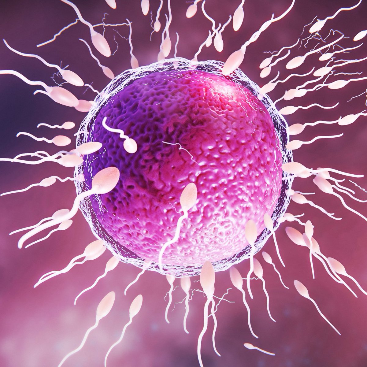 SARS‑CoV‑2 (COVID-19) tweet media