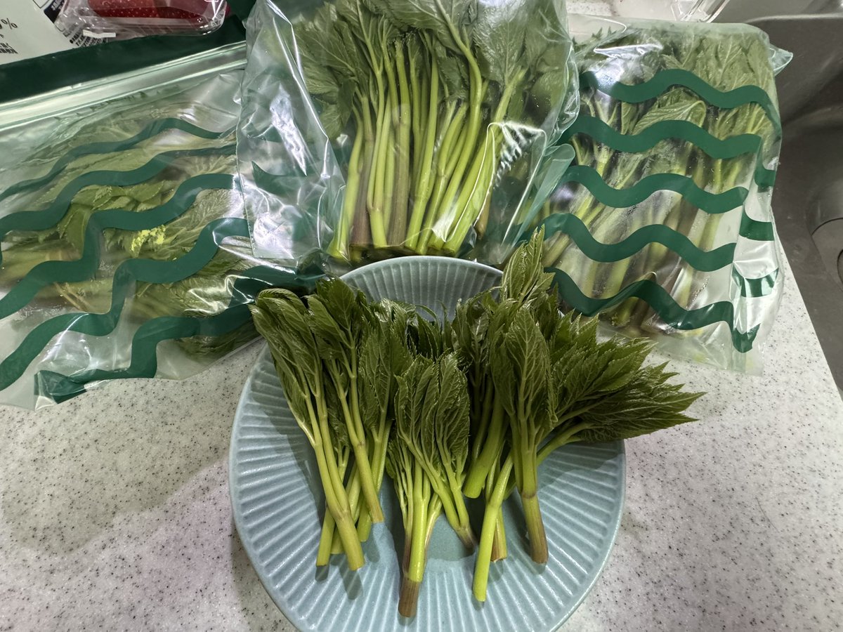 うっひょ〜💖またまた明日葉が届いた‼️
今日は天ぷらやっちゃう🌿
このお皿に乗ってる新芽がウマいのよ〜
#伊豆諸島 #新島村 #明日葉