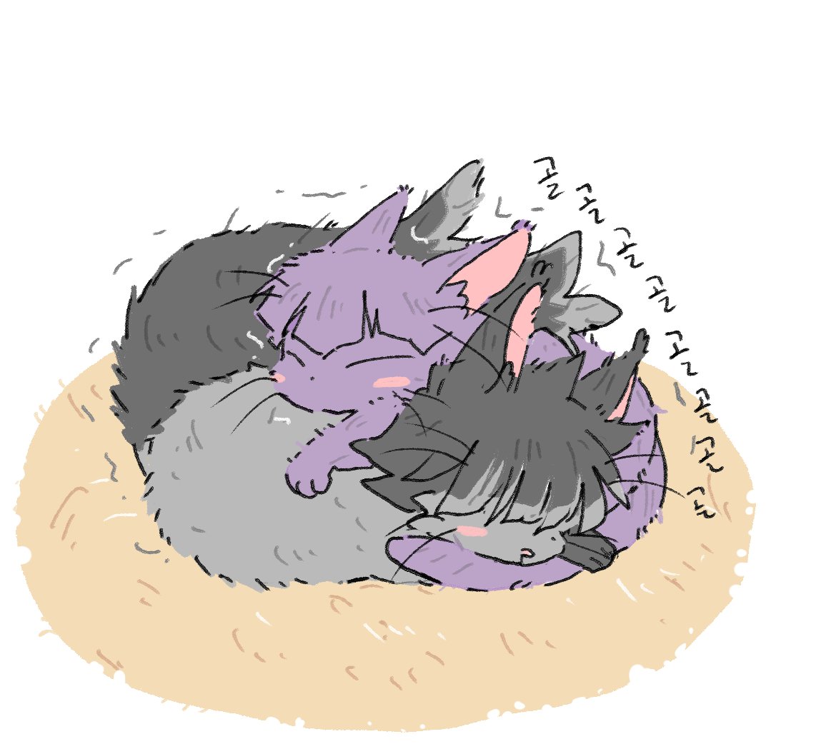 김치볶음밥 tweet media